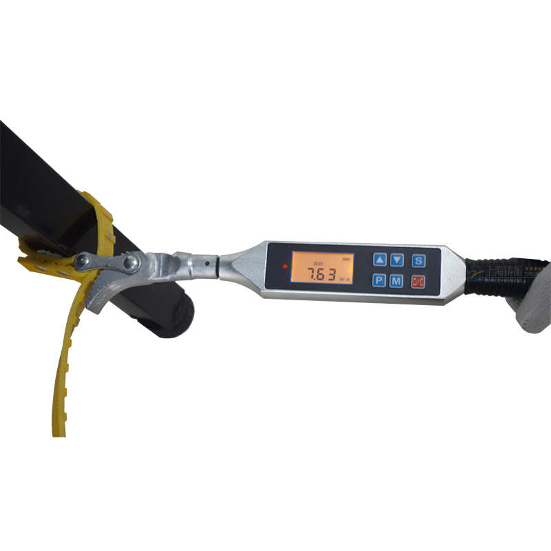 SGSX�߾��Ȕ��@Ť������  ����Ƥ���^