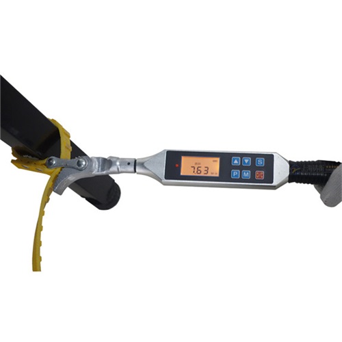 ��ĸ�z�y(c��)Ť������